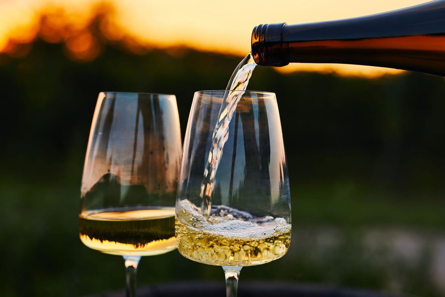 Chardonnay Wine: Versatile Elegance in a Glass