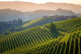 Italy’s Wine Regions: A Tapestry of Flavors