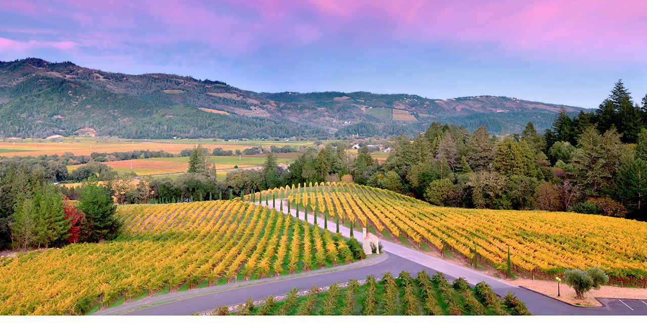 Exploring American Wine: From Coast to Coast