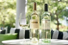 Sauvignon Blanc Wine: A Crisp Journey Through the Wine World