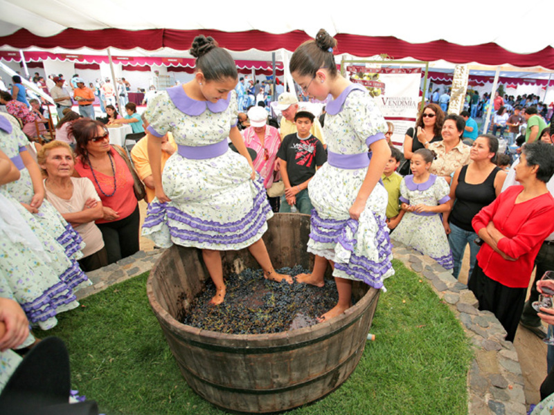 Feria de la Vendimia: Harvest Festival