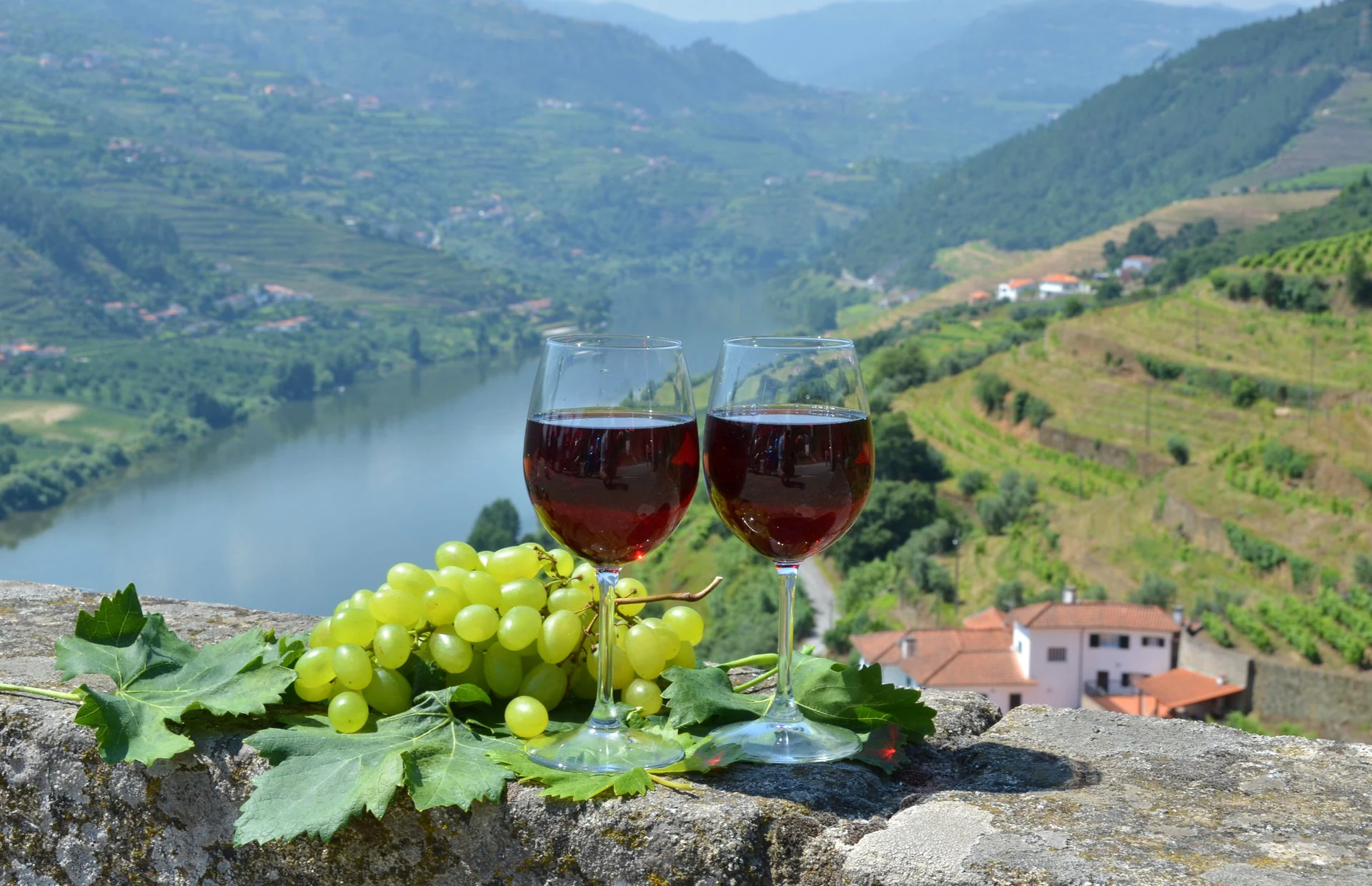 Port Wine: A Sweet Sojourn to Portugal’s Douro Valley